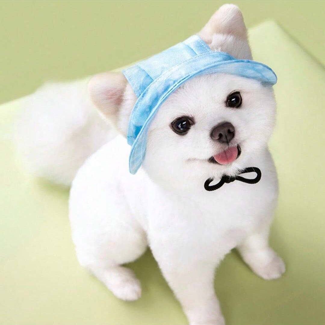 Adjustable Pet Bucket Hat With Wide Brim Design