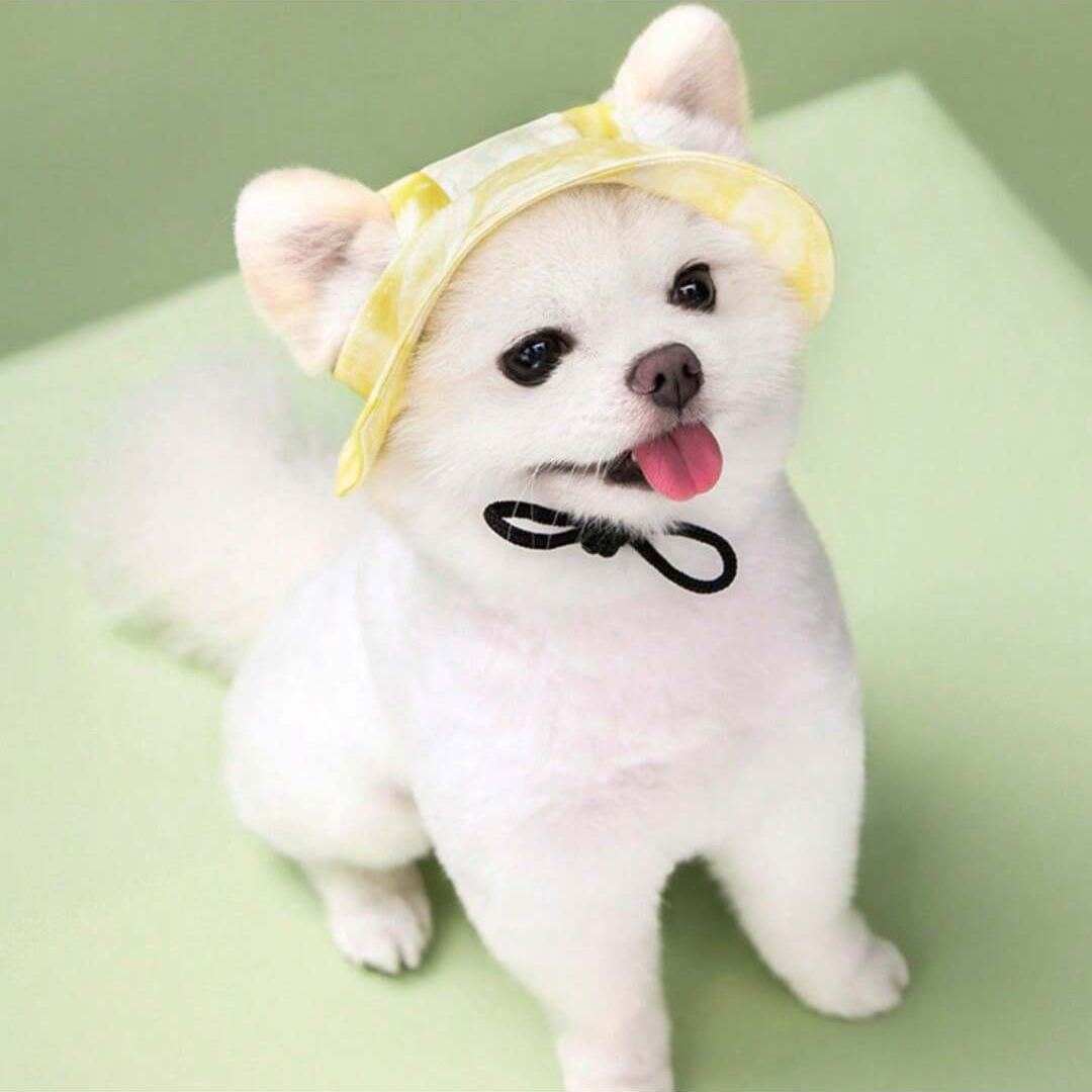 Adjustable Pet Bucket Hat With Wide Brim Design