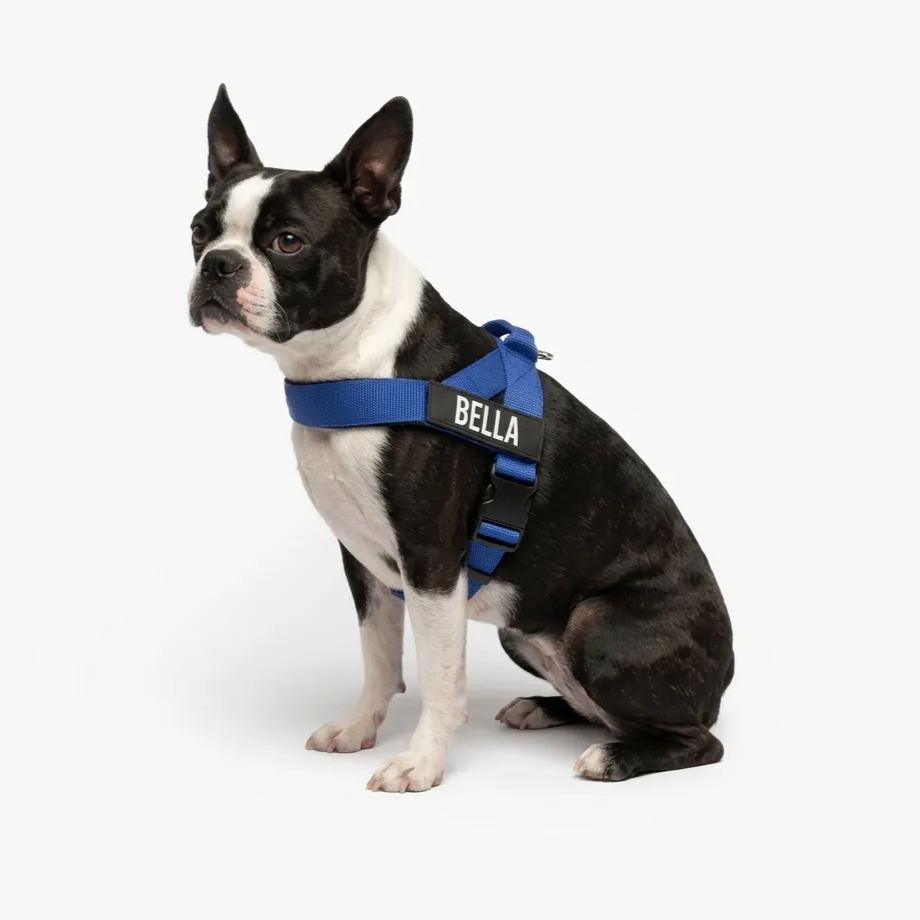 Adjustable Neck & Chafe Resistant Dog Harness