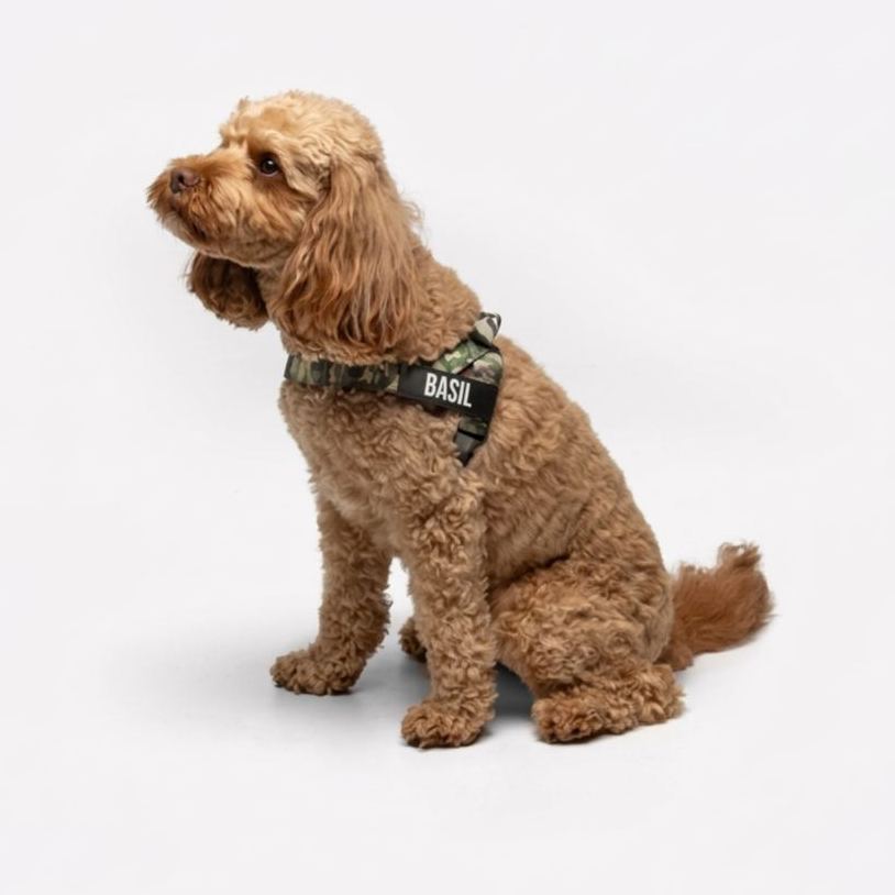 Adjustable Neck & Chafe Resistant Dog Harness
