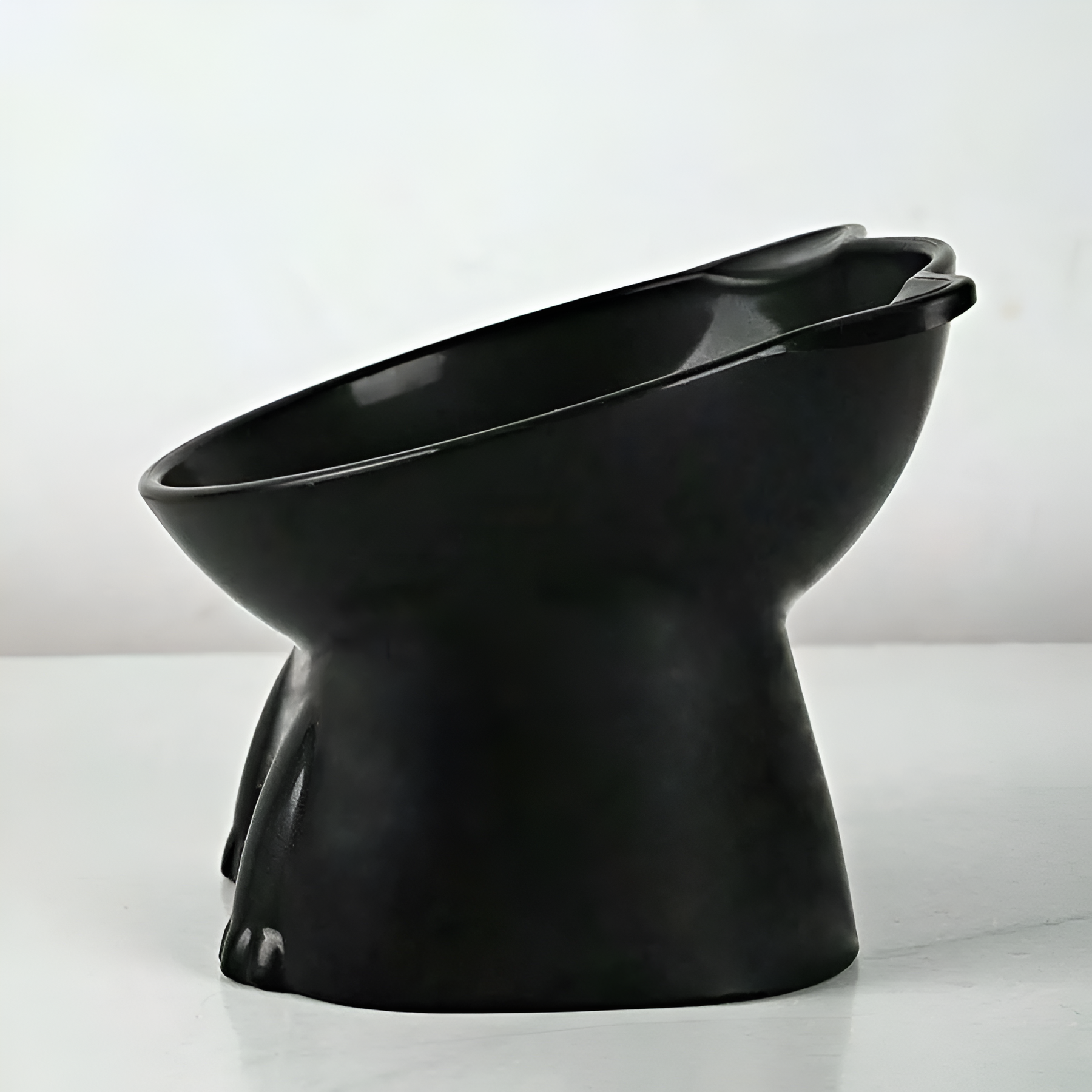  Tilted Pet Bowl
