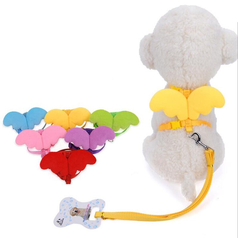 Cute Angel Pet Dog Leashes And Collars Set