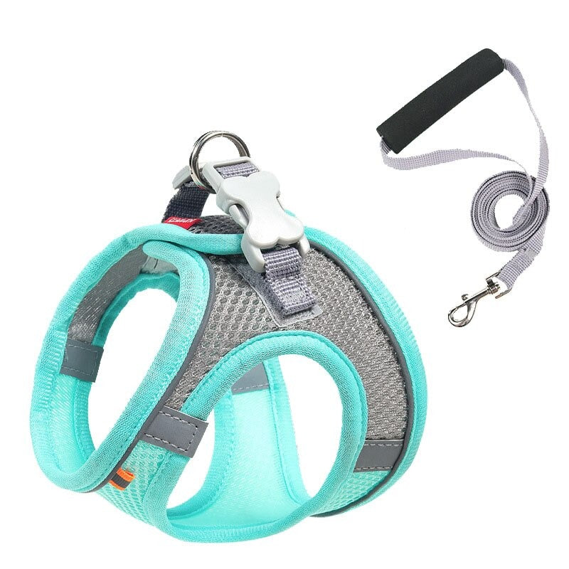 Pastel Colors Dog Harness Leash SetPastel Colors Dog Harness Leash Set - Image 3