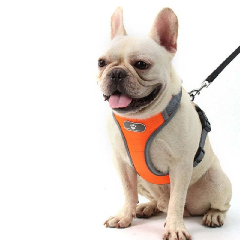 Lead Straps Breathable Dog Harnesses