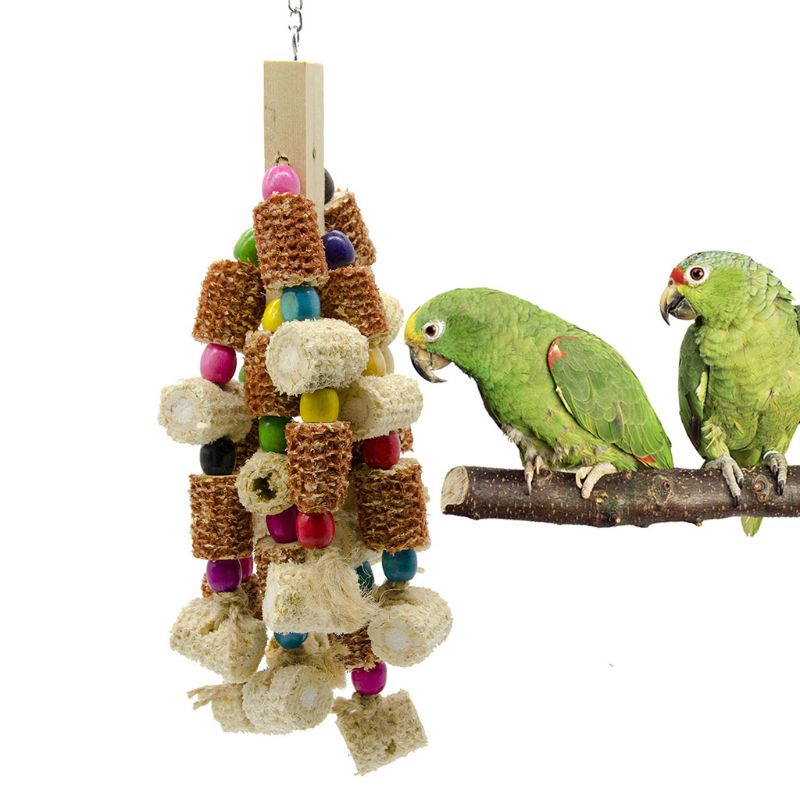 Wood Bird Swing Toy for Parrots Cockatiels and Budgies with Durable Cage Accessories for Mental Stimulation — detail close-up