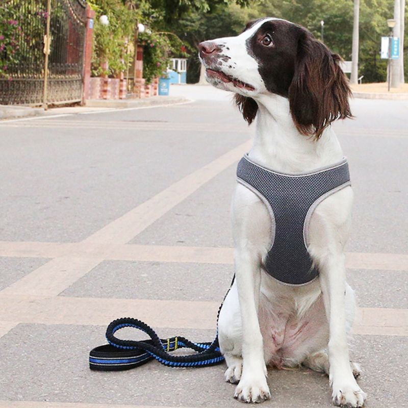 No-pull Dog Harness for S to L Dogs with Adjustable and Breathable Nylon Soft Durable Comfortable Pet Collar — detail clos...