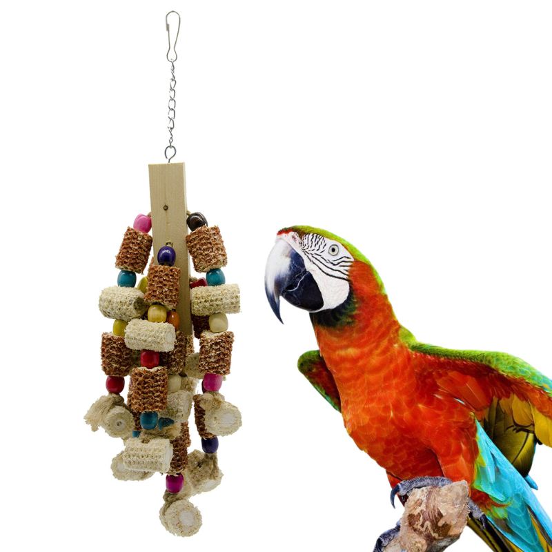 Wood Bird Swing Toy for Parrots Cockatiels and Budgies with Durable Cage Accessories for Mental Stimulation — size comparison