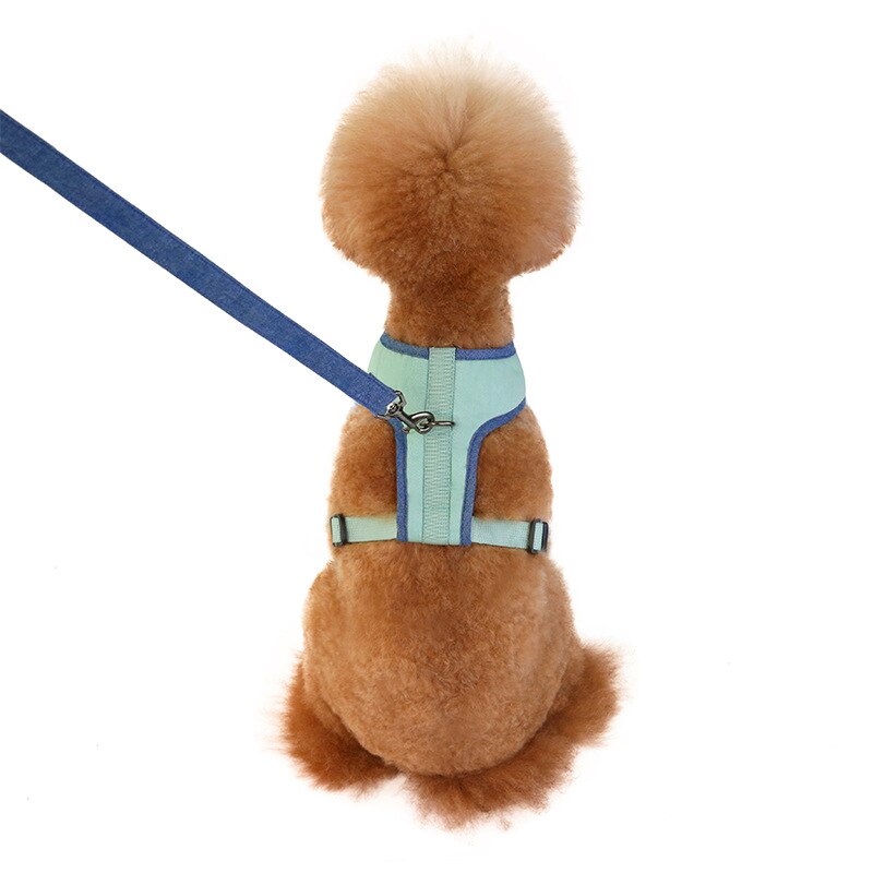 No-pull Dog Harness for S to XL Dogs with Adjustable and Breathable Nylon Soft Durable Comfortable Pet Collar — view 7