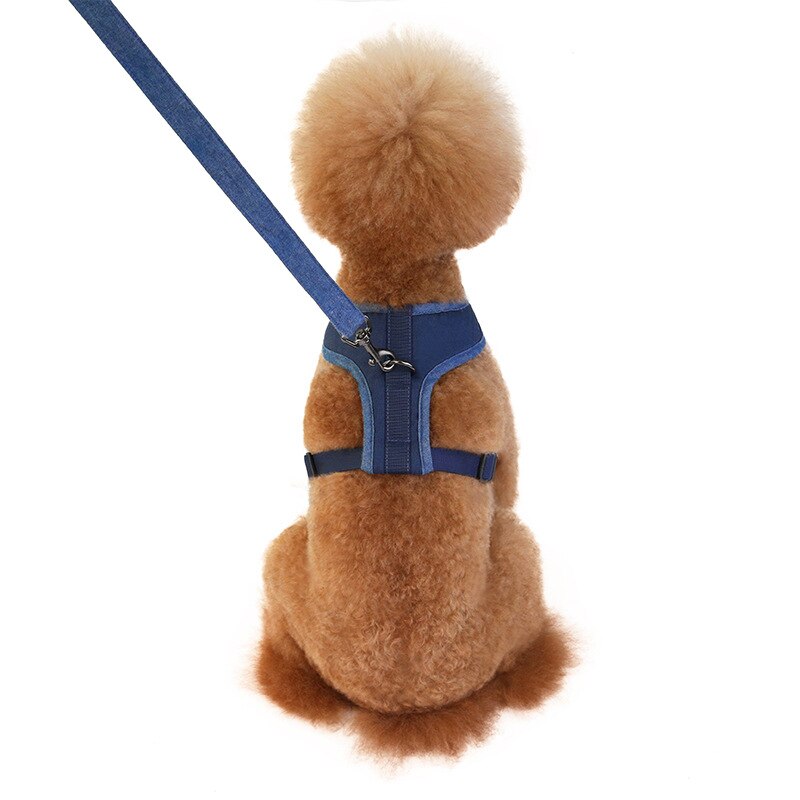No-pull Dog Harness for S to XL Dogs with Adjustable and Breathable Nylon Soft Durable Comfortable Pet Collar — in use