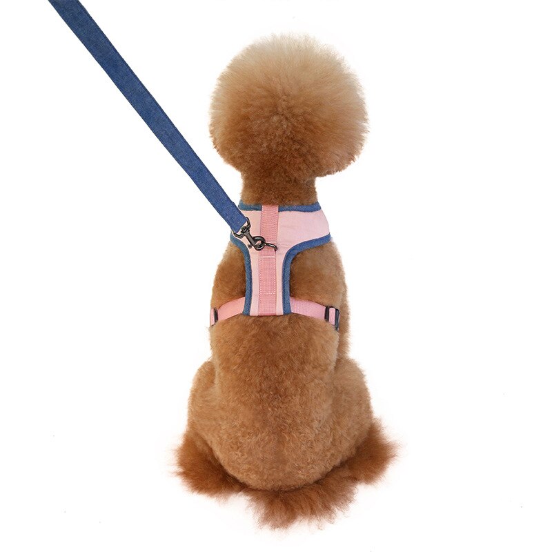 No-pull Dog Harness for S to XL Dogs with Adjustable and Breathable Nylon Soft Durable Comfortable Pet Collar — size compa...