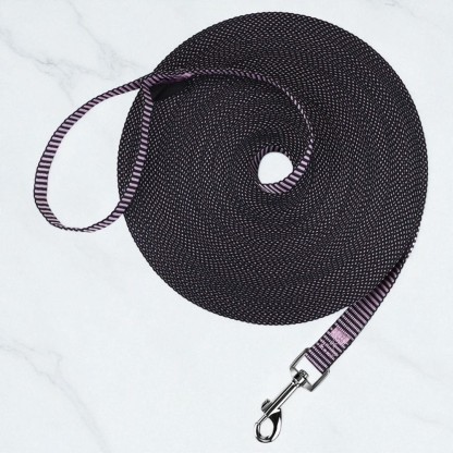 Dog Obedience Recall Training Leash