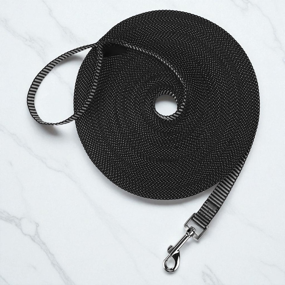 Dog Obedience Recall Training Leash