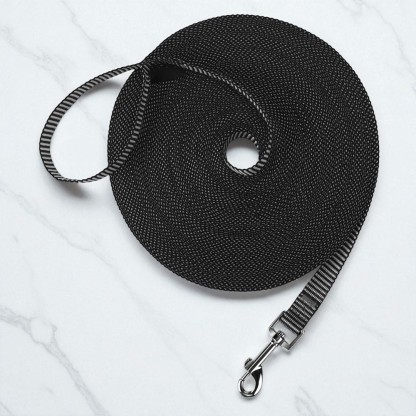 Dog Obedience Recall Training Leash