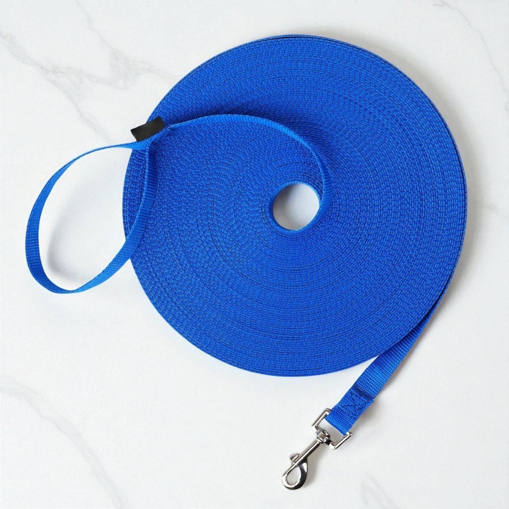 Dog Obedience Recall Training Leash