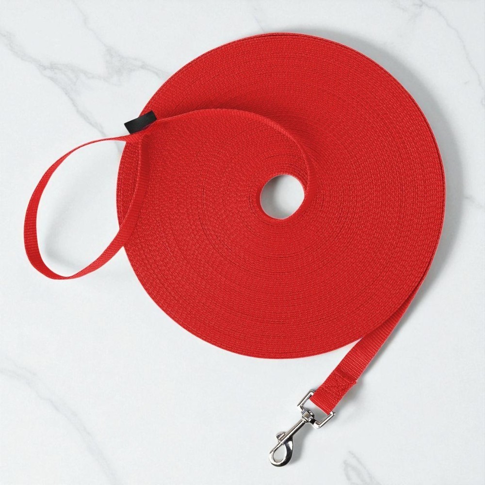 Dog Obedience Recall Training Leash