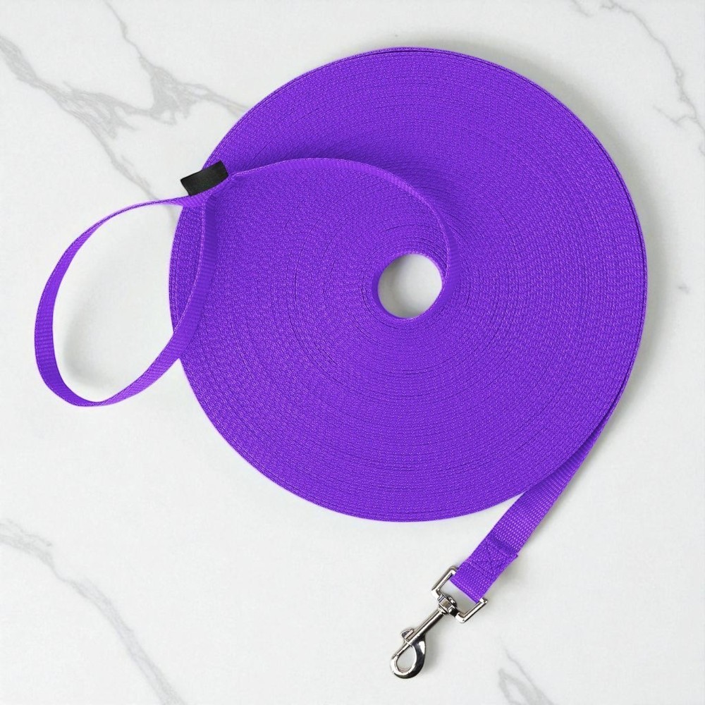 Dog Obedience Recall Training Leash