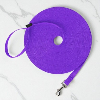 Dog Obedience Recall Training Leash