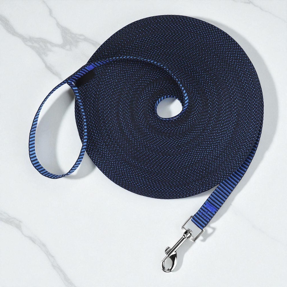 Dog Obedience Recall Training Leash