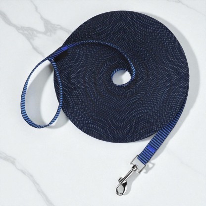 Dog Obedience Recall Training Leash