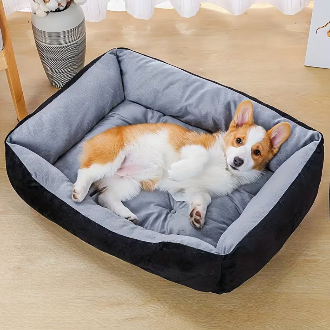 Orthopedic Plush Dog Bed for All Seasons