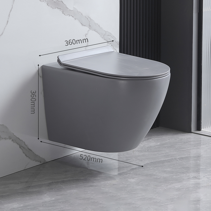 Toilet-Wall Hung Toilet-2