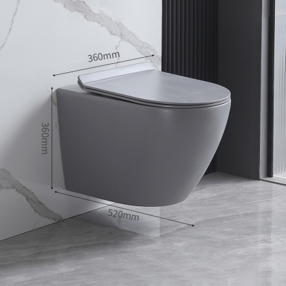 Toilet-Wall Hung Toilet-2