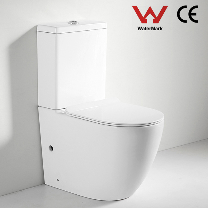 Toilet-Two piece Toilet-2