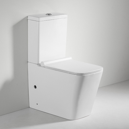 Toilet-Two piece Toilet-2