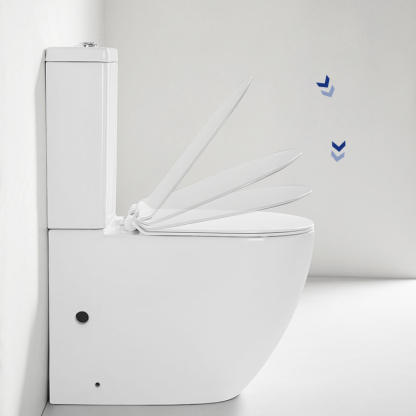 Toilet-Two piece Toilet-2