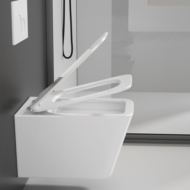 Toilet-Wall Hung Toilet-1