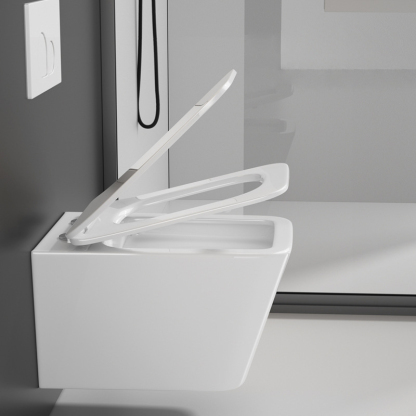 Toilet-Wall Hung Toilet-1