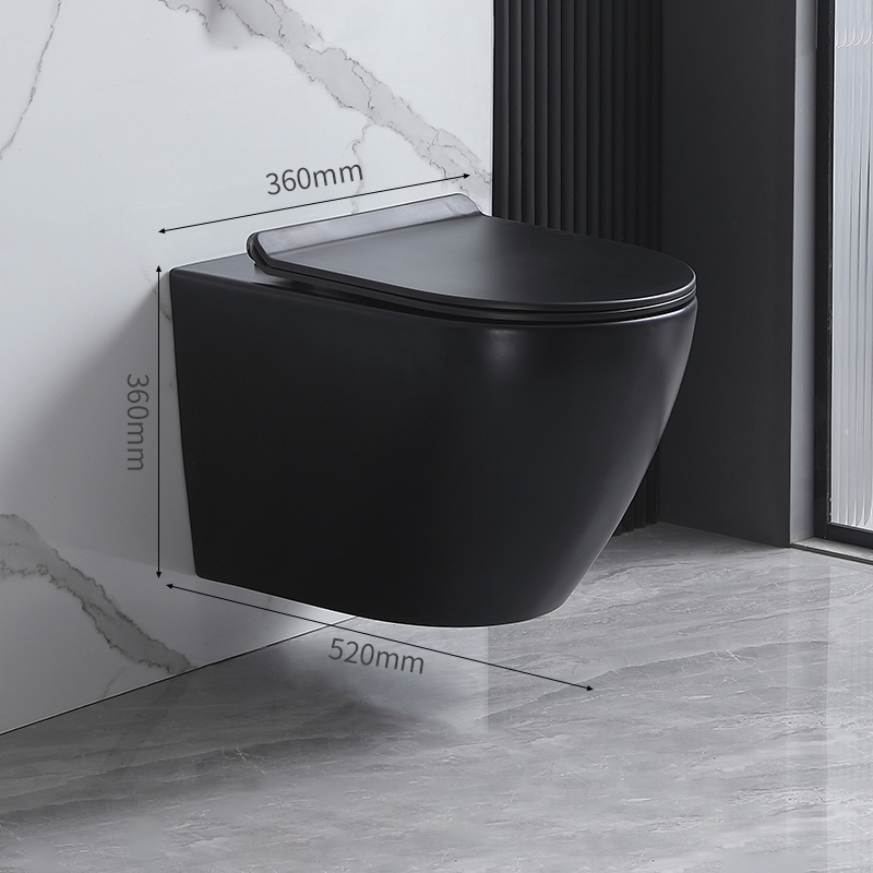 Toilet-Wall Hung Toilet-2