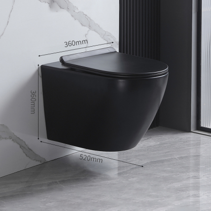 Toilet-Wall Hung Toilet-2