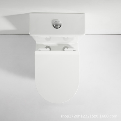 Toilet-Two piece Toilet-2
