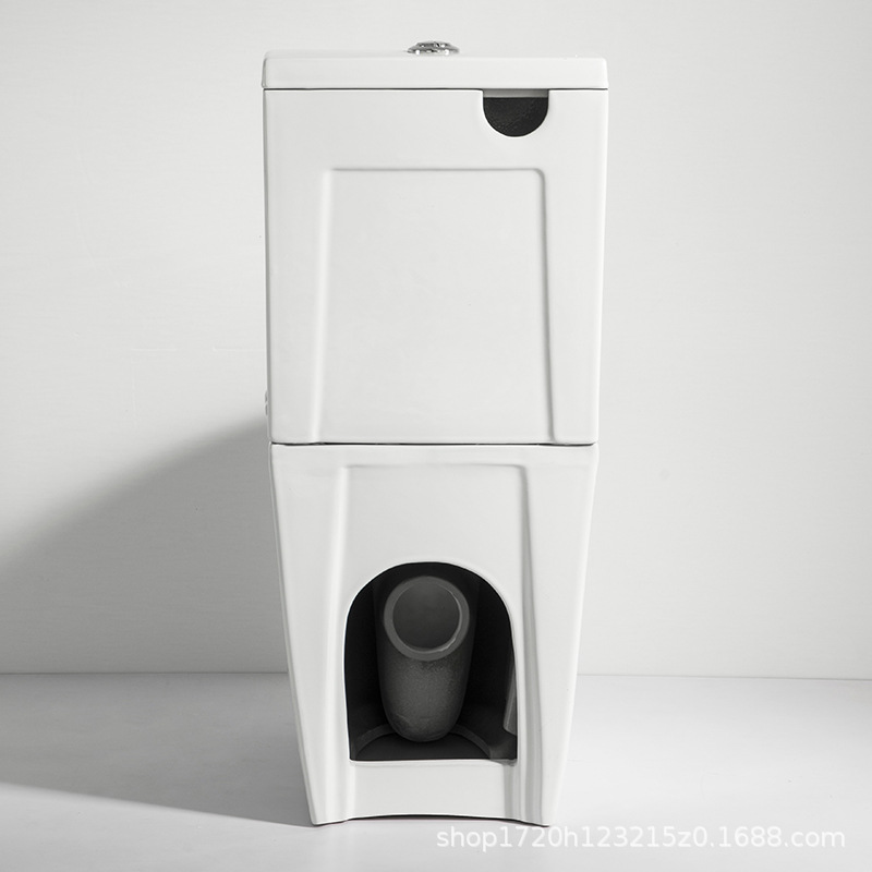 Toilet-Two piece Toilet-2