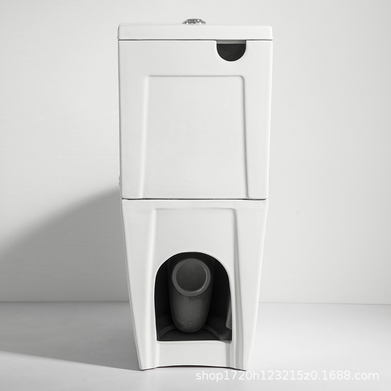 Toilet-Two piece Toilet-2