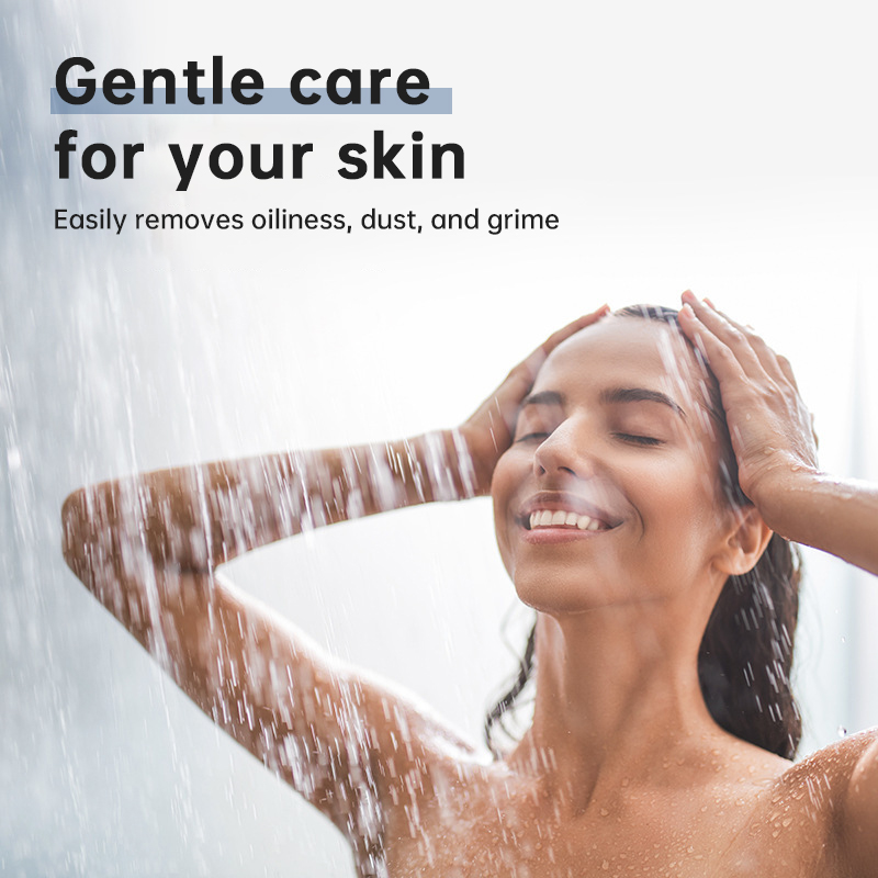 Pressurizing Water Filter Massage Spray Hand Shower Filter