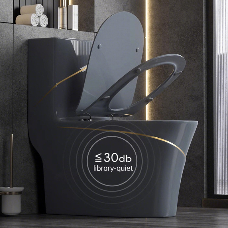 Toilet-One piece Toilet