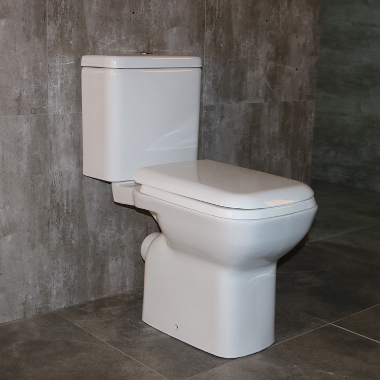 Toilet-Two piece Toilet-1