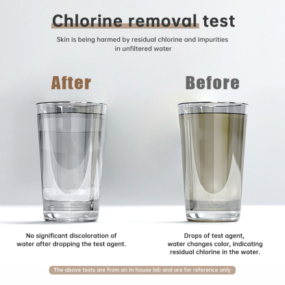 Carbon Filter Shower Head