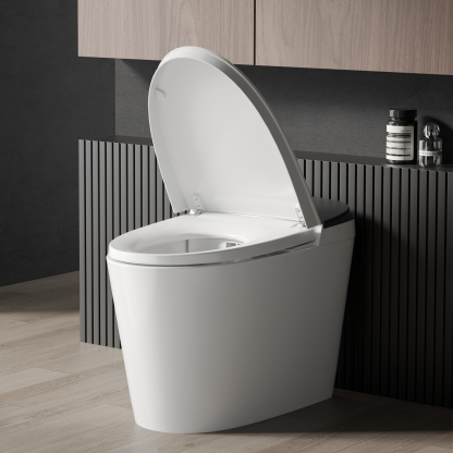 Smart Toilet  L7-1