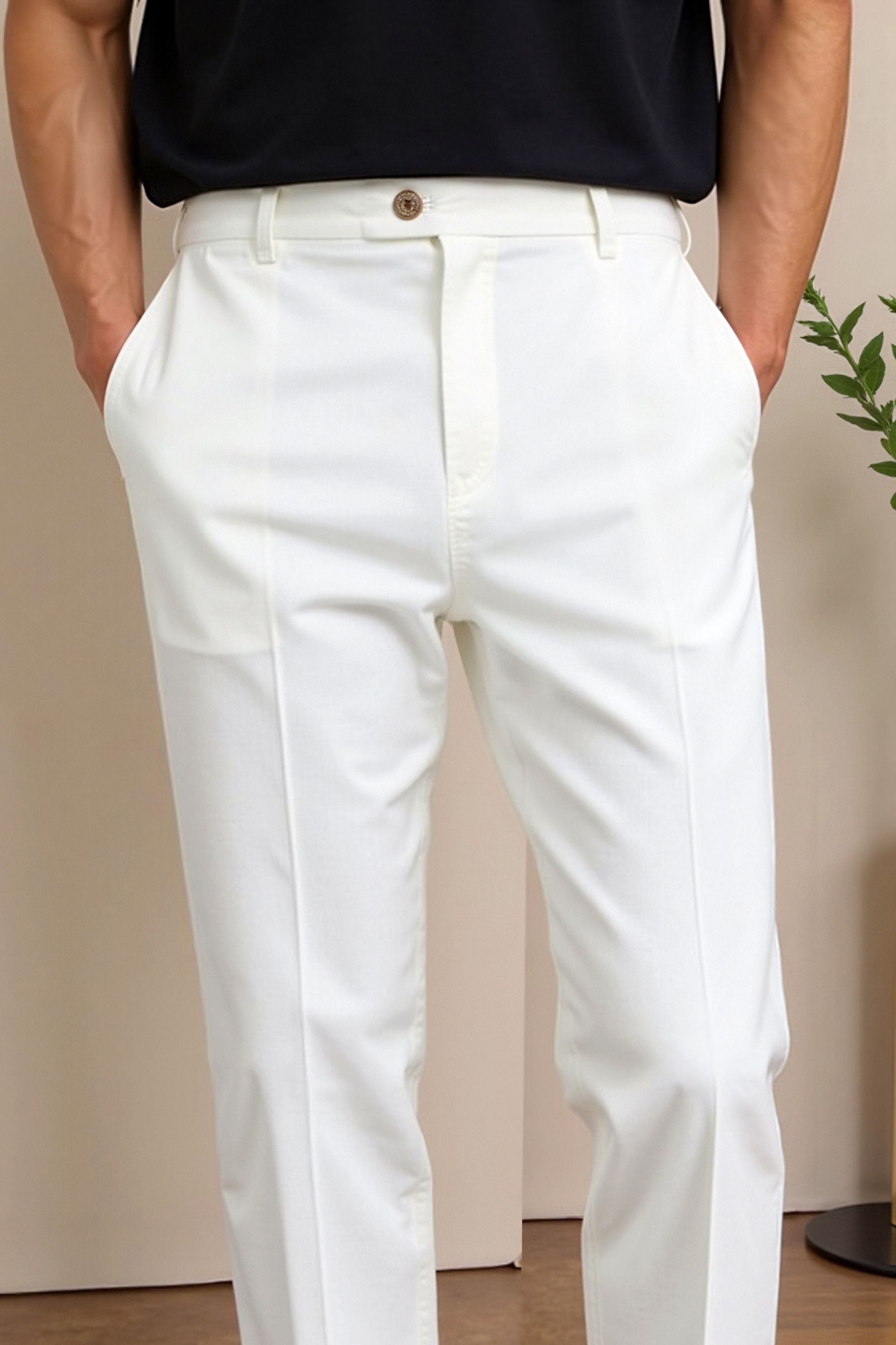 Smart Luxury Regular Fit Chino Ankle Pants-VibeCloset