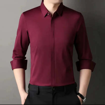 🔥2025 HOT SALE🔥Men's Wrinkle-Free Button-Down Shirt