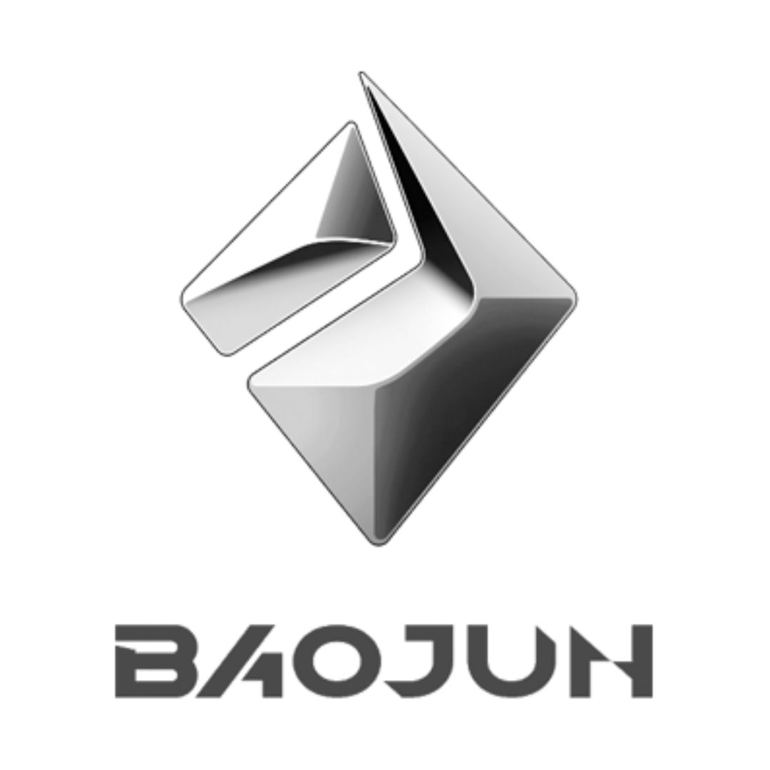 Baojun-Car Rug Floor Mats