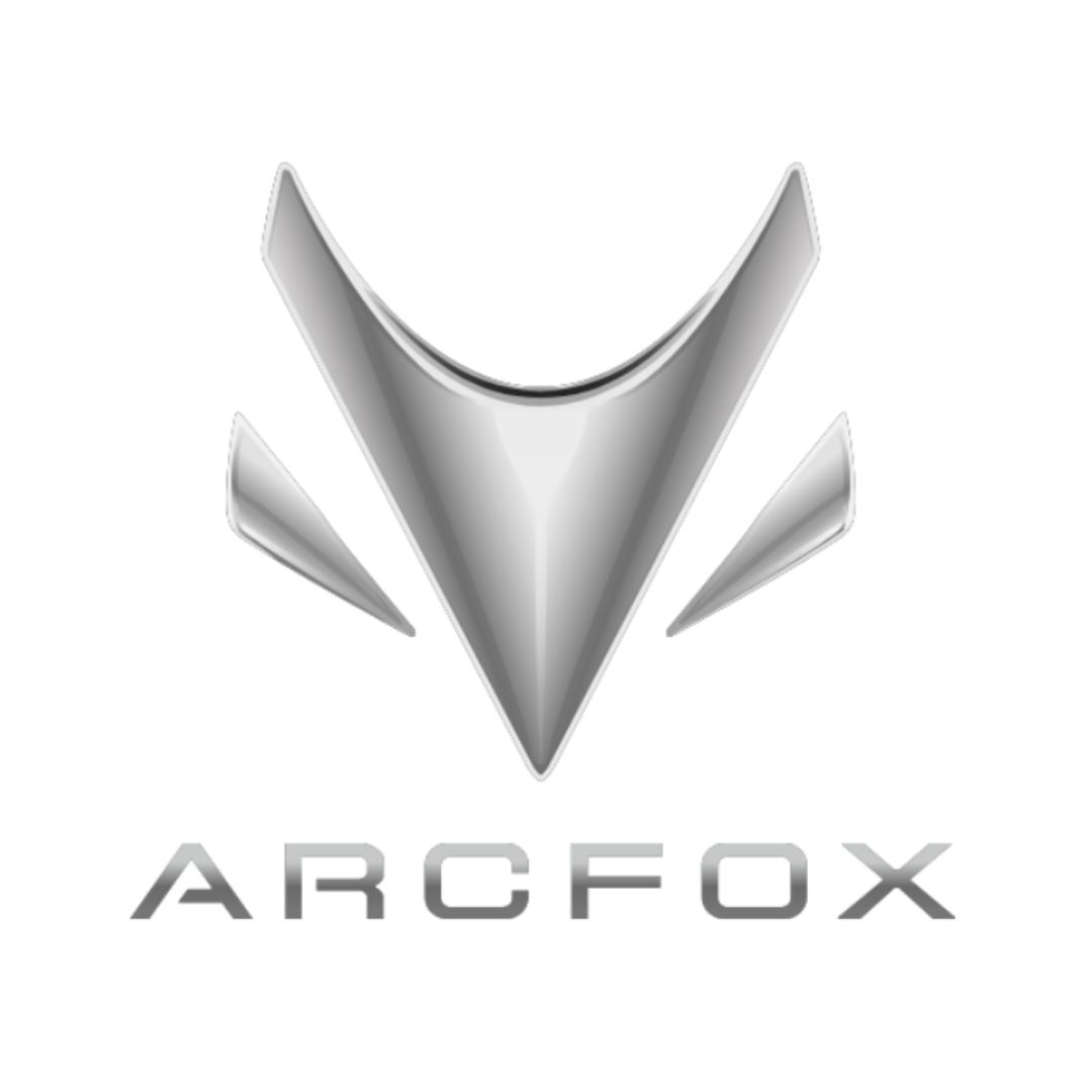 Arcfox-Car Rug Floor Mats