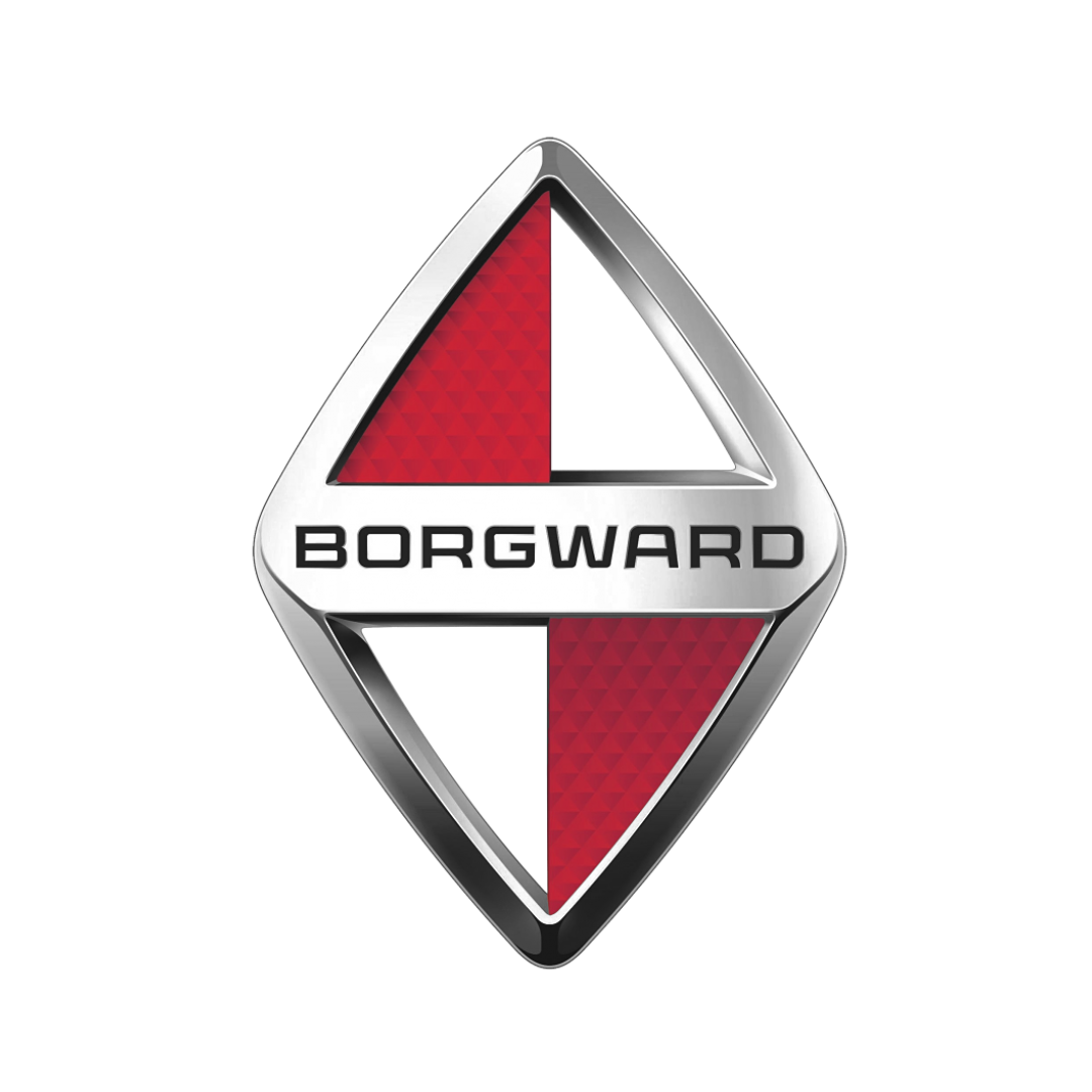 Borgward-Car Rug Floor Mats