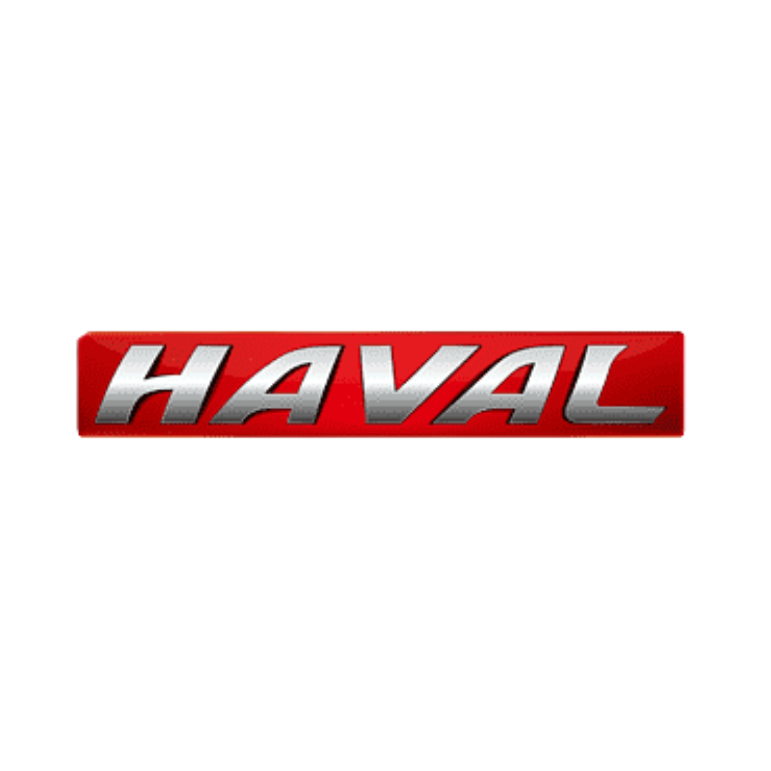 Haval-Car Rug Floor Mats
