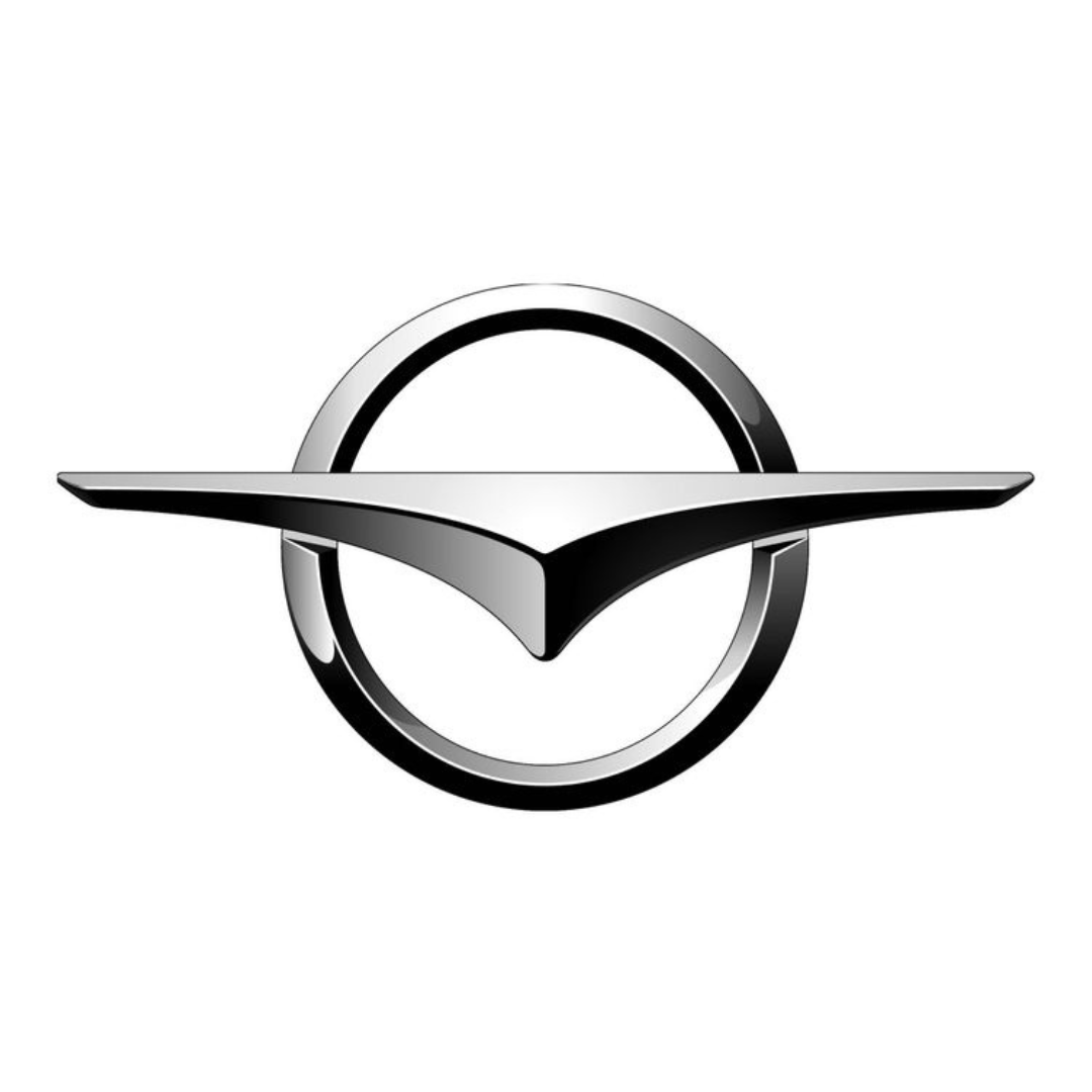 Haima-Car Rug Floor Mats