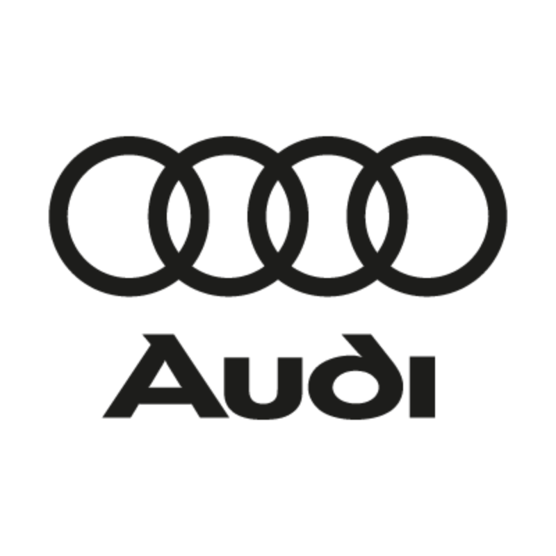 Audi-Car Rug Floor Mats