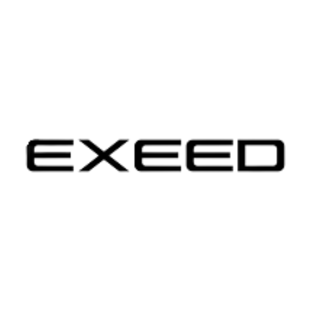 Exeed-Car Rug Floor Mats